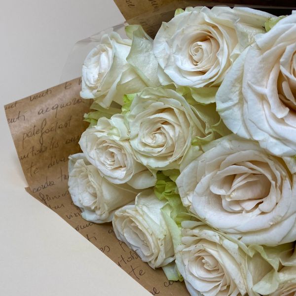 купить Букет 11 белых роз (70см) в мск