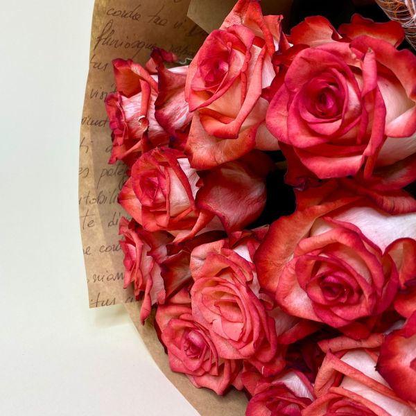 купить Букет 11 красно-белых роз (70см) в мск