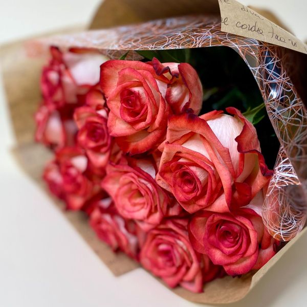 купить Букет 11 красно-белых роз (70см) в мск