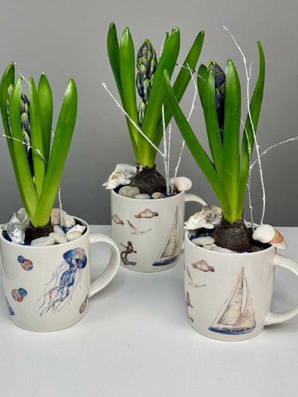 Композиция с первоцветами Маяк с гиацинтом (3)