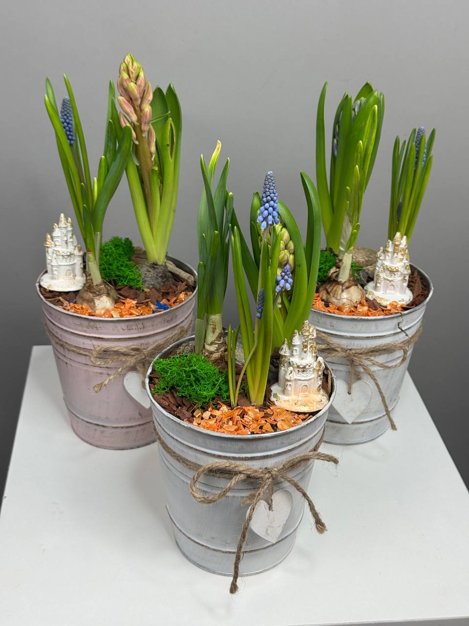 Композиция с первоцветами Загадочный мир с гиацинтом, нарциссом и мускариком (1)