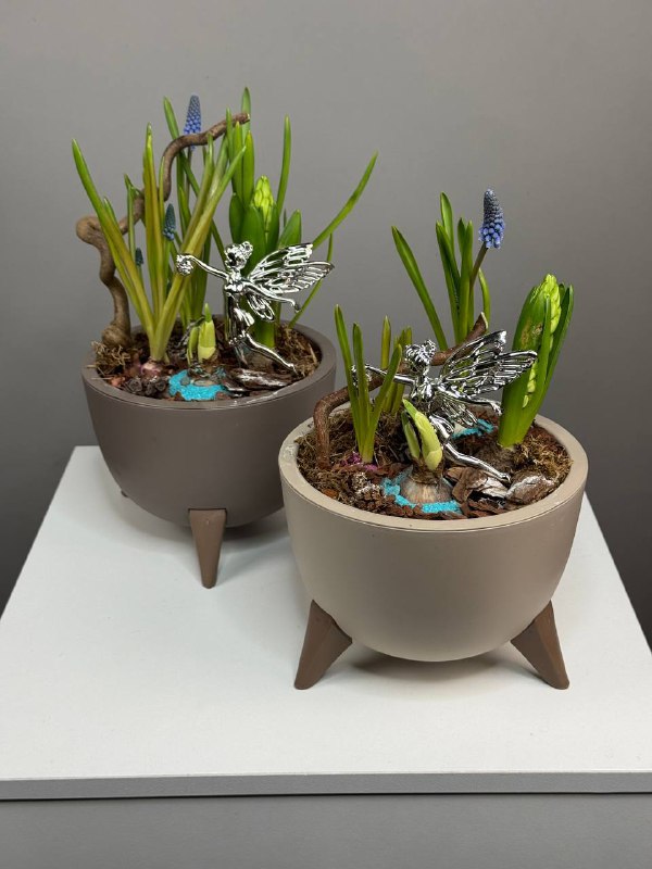 Композиция с первоцветами Лесная Фея с мускариками, гиацинтом и нарциссом (1)