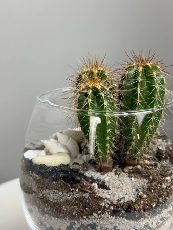 a01d116b-f19f-4493-b6ba-82d4d5f8b6ae