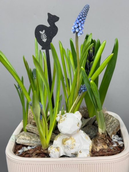 Композиция с первоцветами Флюгель с гиацинтом, мускариками и нарцисами (5)