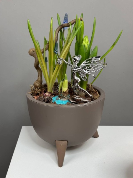 Композиция с первоцветами Лесная Фея с мускариками, гиацинтом и нарциссом (4)