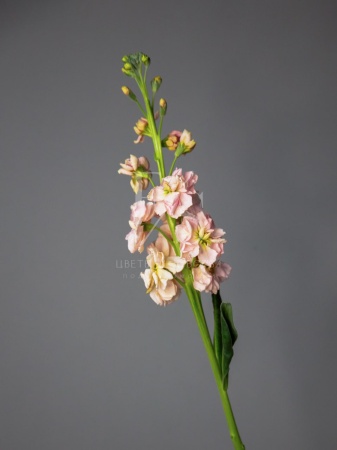 ae09a54b-419a-4100-8d4b-2e9a93fb5c8b