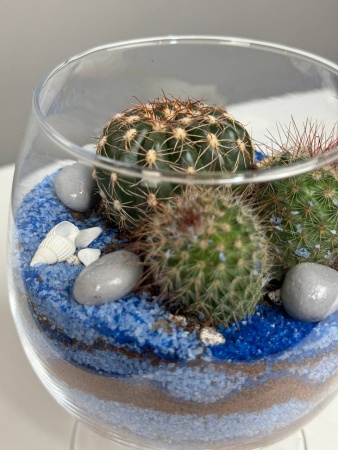 c472c0fe-27e2-48d4-8c33-bc90825f5154