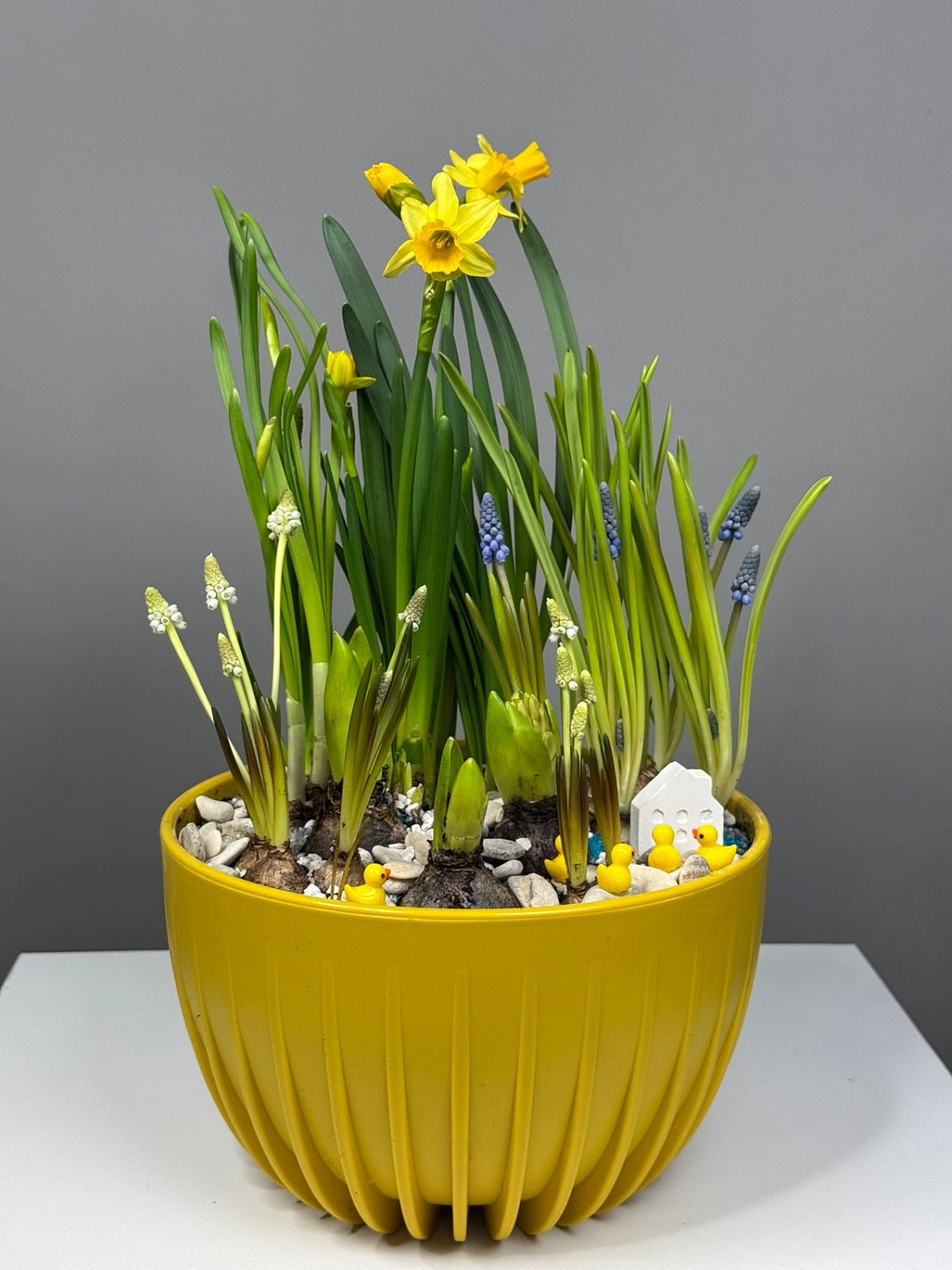 МК Композиция с первоцветами/луковичными