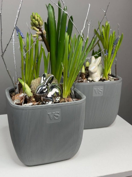 Композиция с первоцветами Весна пришла (2)