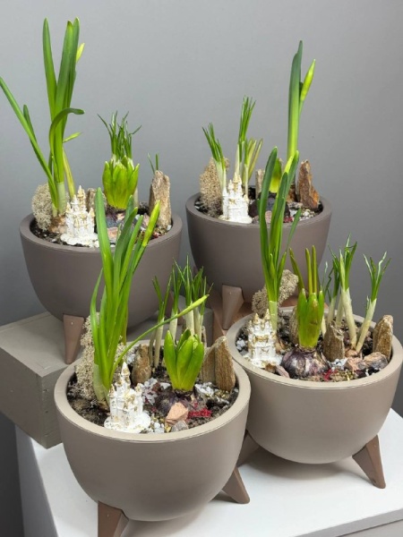 c2d2dfff-6184-4f85-8855-f82a63166389