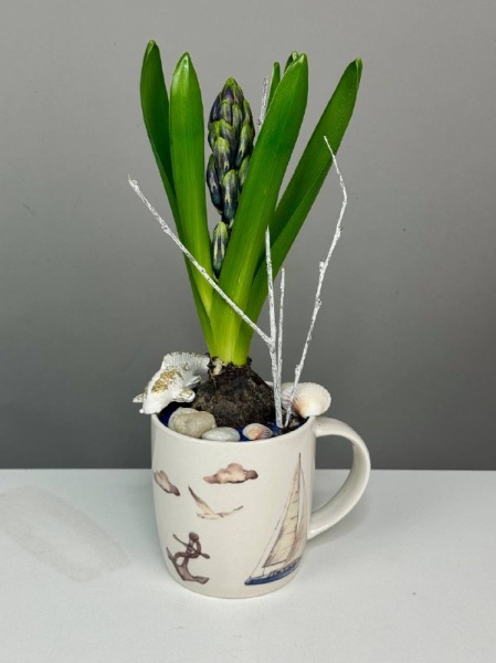 Композиция с первоцветами Маяк с гиацинтом (1)