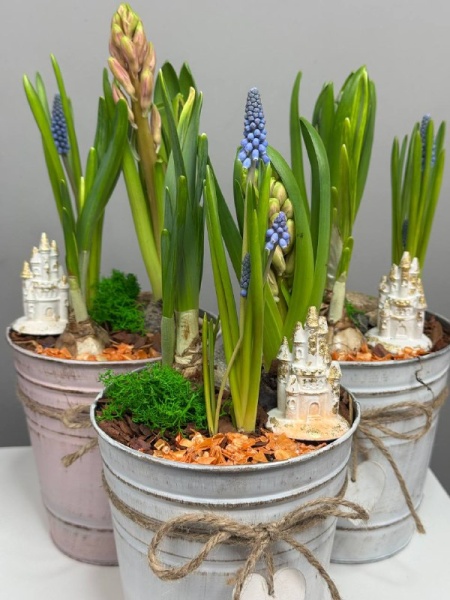 Композиция с первоцветами Загадочный мир с гиацинтом, нарциссом и мускариком (3)