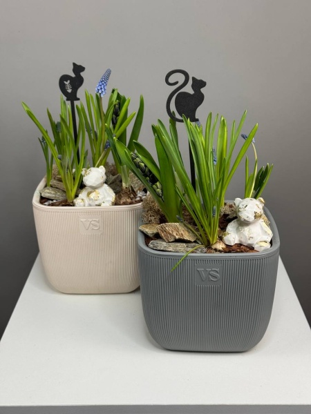 Композиция с первоцветами Флюгель с гиацинтом, мускариками и нарцисами (1)