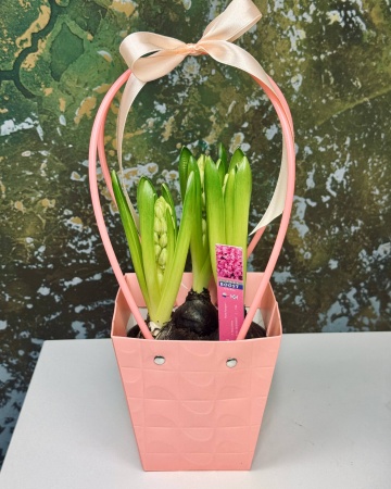 bfd31ae8-2e55-45de-a0fe-30fe6684aace