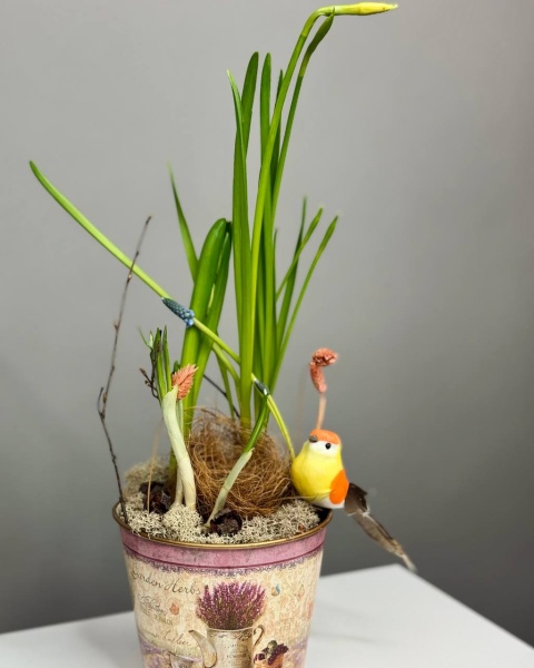 Композиция с первоцветами Ласточкино гнездо  (3)