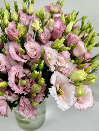 Эустома светло-розовая (1)