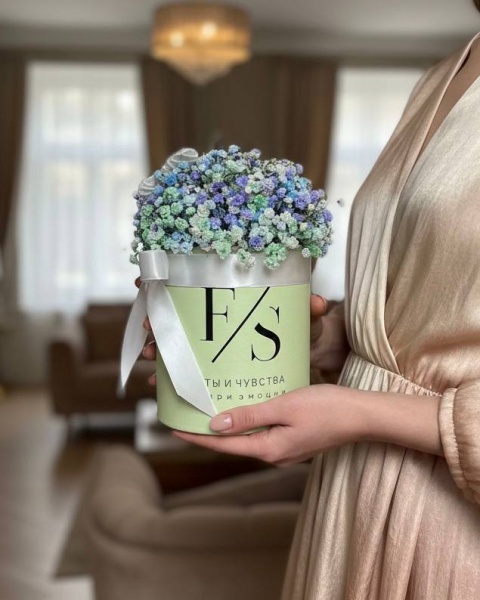 Композиция Милая гипсофила в коробке малая (6)