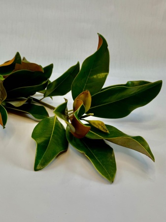 df85044e-ccee-4ffb-b4c2-567527fe9d09