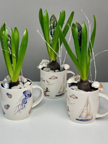 Композиция с первоцветами Маяк с гиацинтом (3)