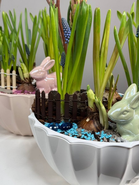 Композиция с первоцветами Форест с гиацинтом и мускариками (1)