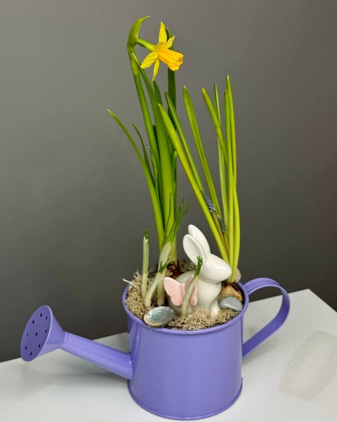 Композиция в сиреневой лейке с луковичными с зайкой  (2)