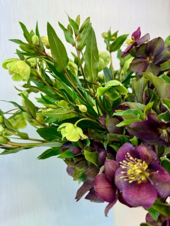 4b51b64d-c9b6-4893-88eb-d008df7d602e