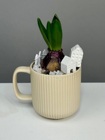 Композиция с первоцветами в чашке с гиацинтом. Гиацинт в городе М (5)