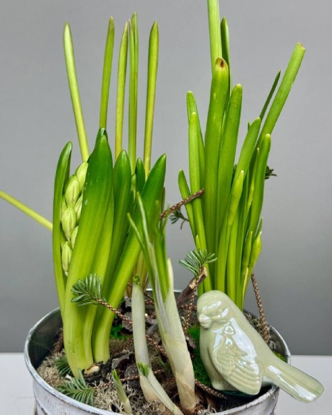 Композиция в белом ведерке с первоцветами, мхом, птичкой (1)