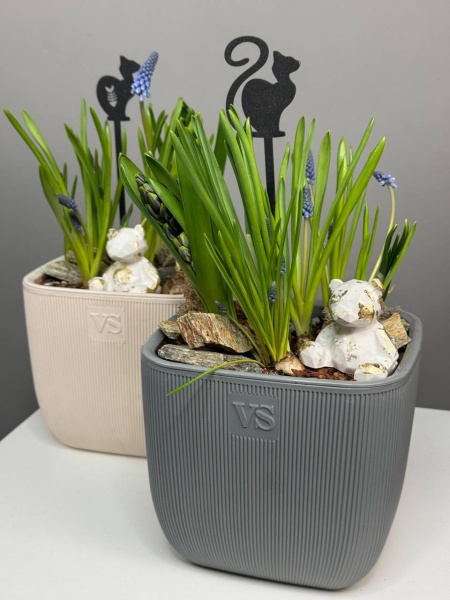 Композиция с первоцветами Флюгель с гиацинтом, мускариками и нарцисами (4)