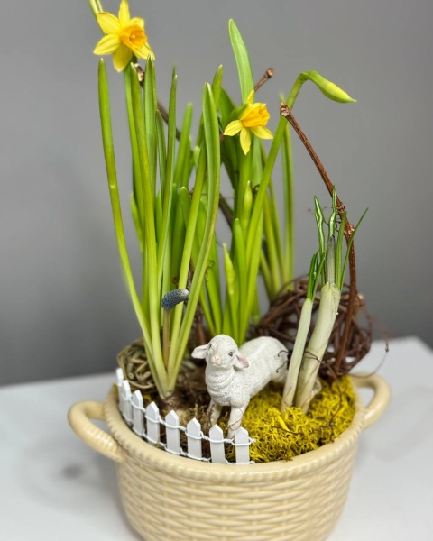 Композиция Милая овечка с мускари, нарциссами, крокусами (2)