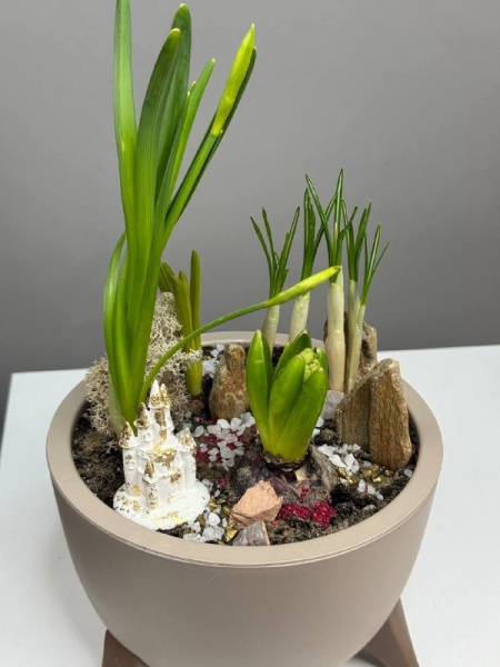 7bd1e106-e950-4506-9435-1e75f0ff972a