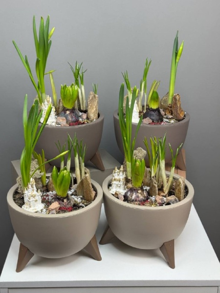 64b06235-1a28-4483-a80d-77ff74347d32