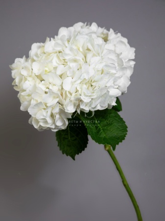 265501c8-956a-4088-88f4-37222e7b7c90