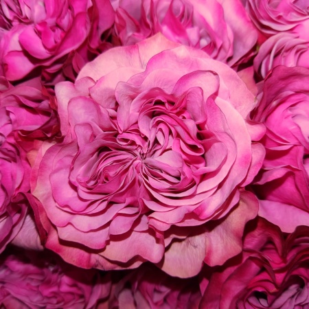 Моди блюз (1)