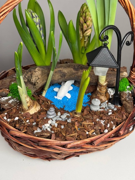 Композиция с первоцветами Японский садик с гиацинтами и нарцисами (4)