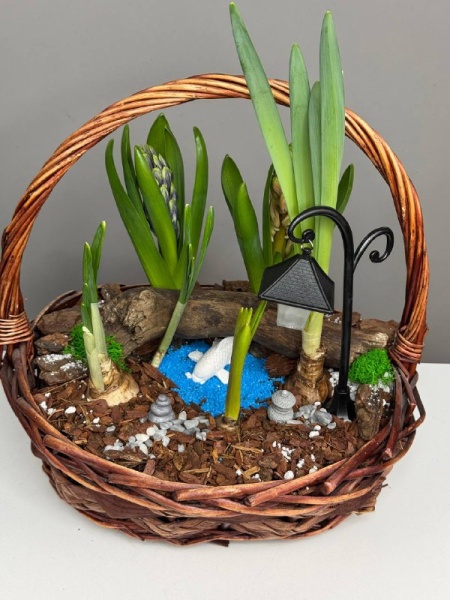 Композиция с первоцветами Японский садик с гиацинтами и нарцисами (2)