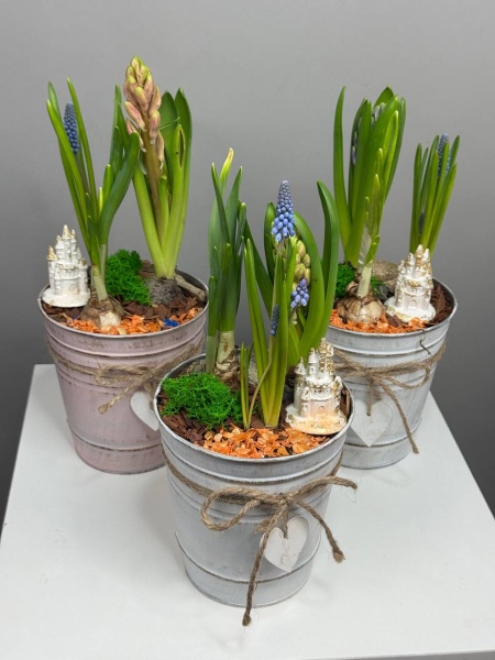 Композиция с первоцветами Загадочный мир с гиацинтом, нарциссом и мускариком (1)