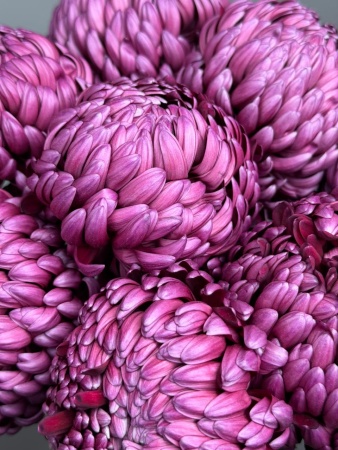 a49bfda5-db2a-43a1-9a68-1e4cbd8b5561