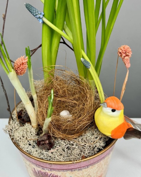 Композиция с первоцветами Ласточкино гнездо  (2)