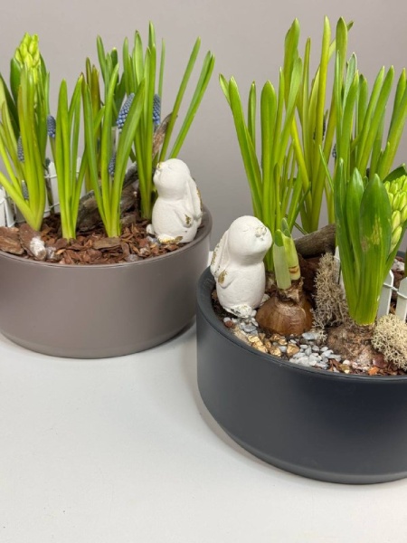 Композиция с первоцветами Спринг Реббит с гиацинтом и мускариками (4)