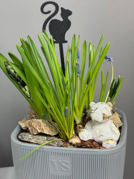 Композиция с первоцветами Флюгель с гиацинтом, мускариками и нарцисами (2)