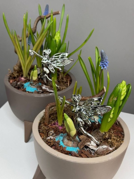 Композиция с первоцветами Лесная Фея с мускариками, гиацинтом и нарциссом (3)