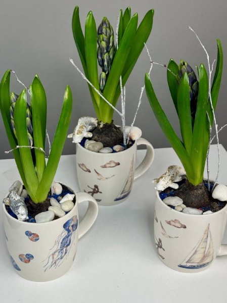 Композиция с первоцветами Маяк с гиацинтом (5)