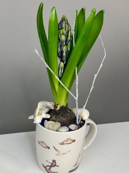 Композиция с первоцветами Маяк с гиацинтом (4)