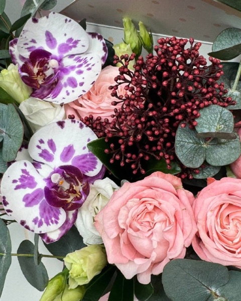 Композиция  в конверте с орхидеей, скиммией, розой (3)