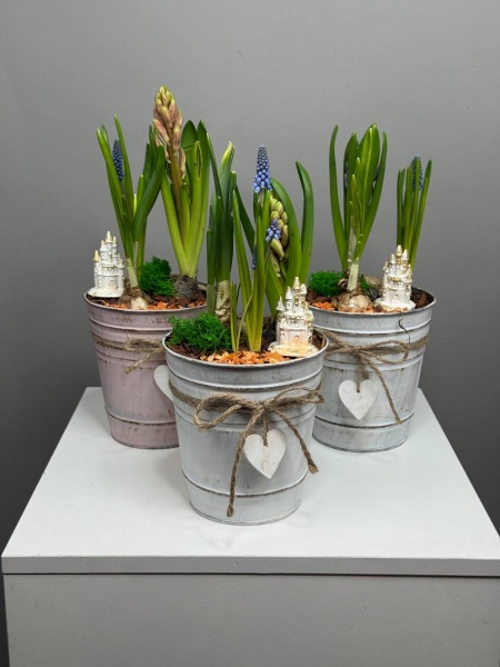 Композиция с первоцветами Загадочный мир с гиацинтом, нарциссом и мускариком (4)