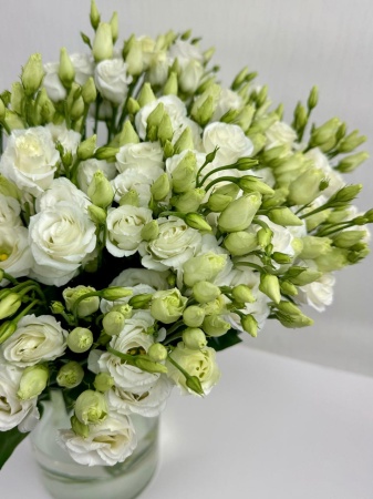 affce7eb-bce1-43e1-92d1-3a224eb7d432