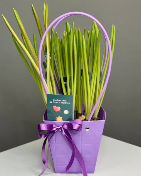 Композиция с мускариками в сумочке Настроение (4)