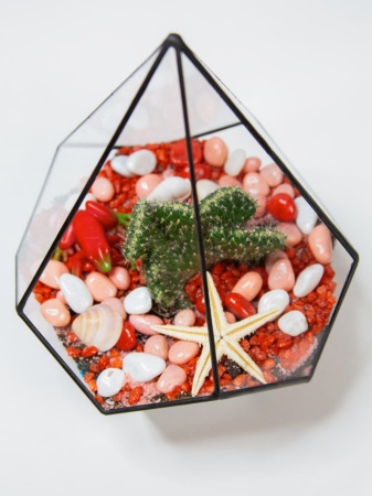 Композиция-флорариум Коралловый риф