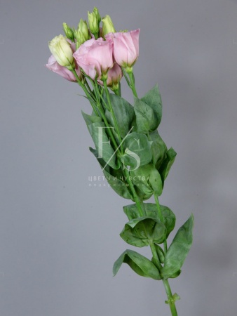 291dd3bf-738f-497d-aabc-4ca293bd8931